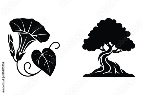 Black silhouette stencils of morning glory flower and large tree vector art