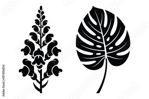 Snapdragon flower stalk and monstera deliciosa leaf silhouette vector art