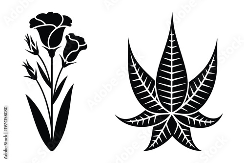 Decorative botanical silhouettes of flowers and serrated leaf with botanical