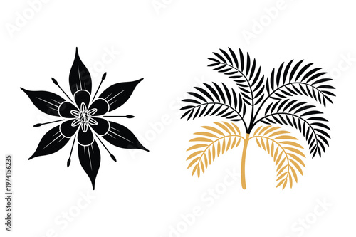Stylized star flower and tropical palm leaf botanical vector illustration