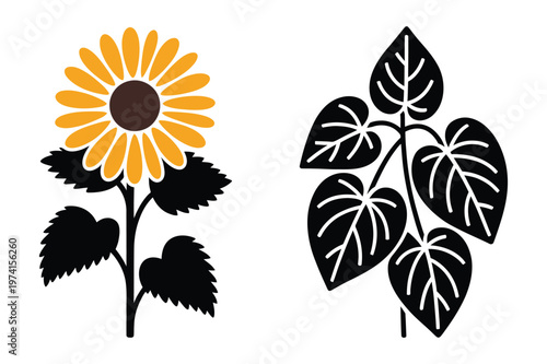 Botanical sunflower vector with heart shaped leaves branch silhouette, sunflower