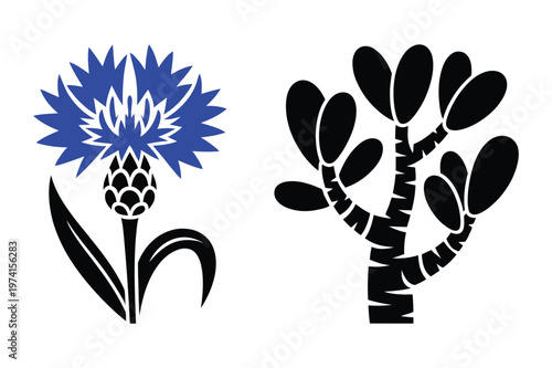 Blue cornflower thistle and succulent branch botanical vector graphics