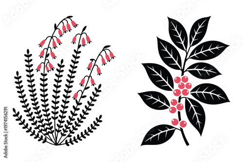 Pink heather bellflower and berry branch botanical vector illustration