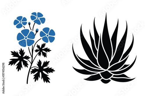 Blue geranium floral cluster and agave succulent plant vector elements