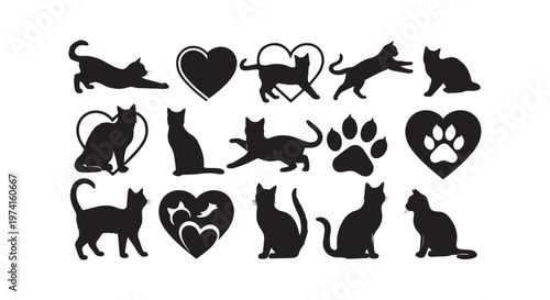 a collection of black and white illustrations of various dinosaurs and prehistoric creatures in a grid layout