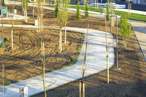 Bild auf Leinwand New urban park with curved promenade, rows of staked saplings, and young cypresses