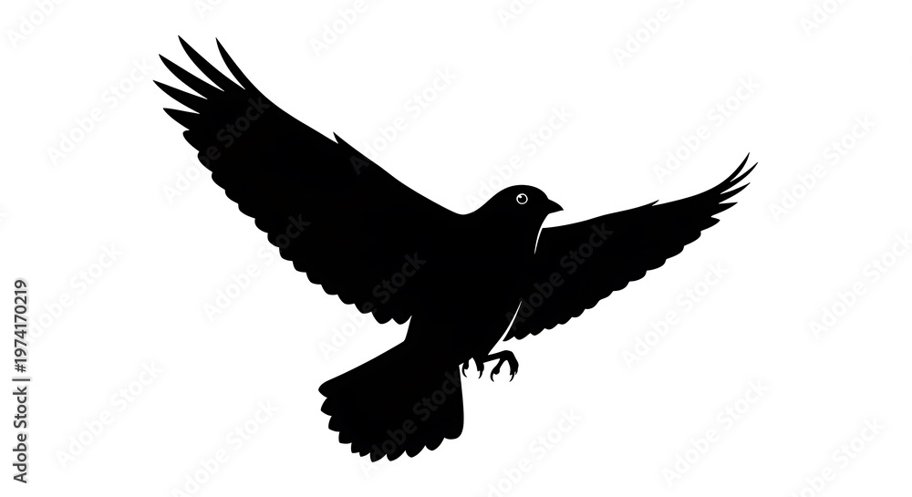 Fototapeta premium Silhouette of a black bird in flight against a white background.