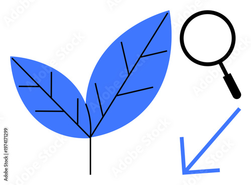 Nature analysis. Abstract nature-focused design with blue leaves, magnifying glass research, and a downward arrow for direction. Perfect for environment, ecology, research, education, sustainability