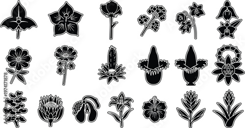 Black and white floral with various flower types and detailed line flowers line floral plants