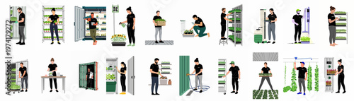 Vector illustrations of professional farmers working in indoor hydroponic vertical farms, featuring container farming, plant maintenance, and smart agricultural technology.