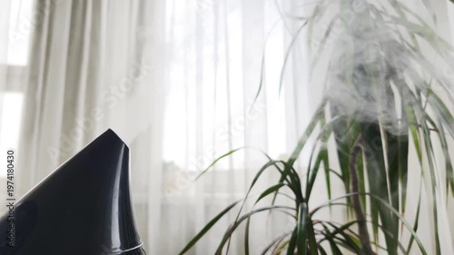 Healthy home and atmosphere mist improve indoor air quality for residents. Ultrasonic humidifier releases vapor near green plants to maintain humidity. This healthy home uses atmosphere mist.