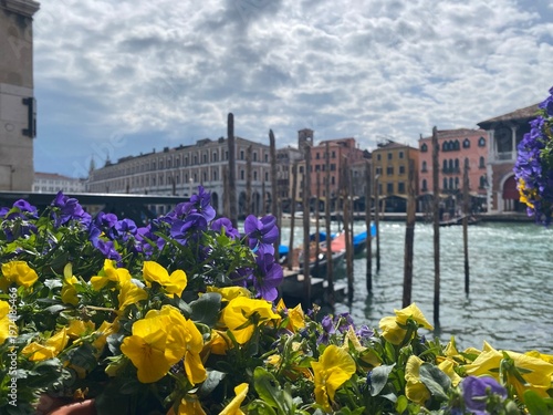 Venezia