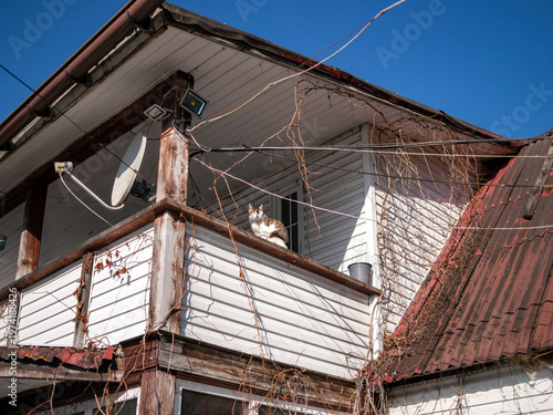 tangled cables and wires