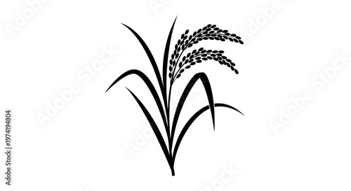 Black illustration of wheat plant.
