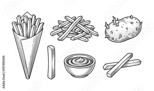 Set of French fries and potato in a vintage engraving style. Includes fries in a paper cone, sauce, and a raw potato. Perfect for restaurant menus or fast food design.