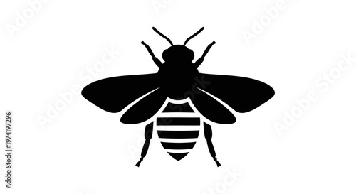 Black silhouette of a bee insect.