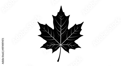 Black silhouette of a maple leaf.