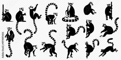 Set of black and white lemur silhouettes in various poses, featuring striped tails and playful expressions, isolated on a transparent background.