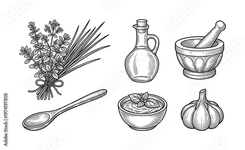 Set of hand-drawn vector illustrations of cooking ingredients. Includes herbs, garlic, olive oil, and pesto sauce in a vintage engraving style for menus or food packaging.
