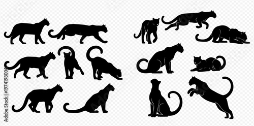 Collection of black panther silhouettes in various poses, showcasing the elegance and power of big cats.