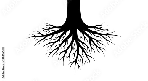 Black silhouette of tree roots underground.