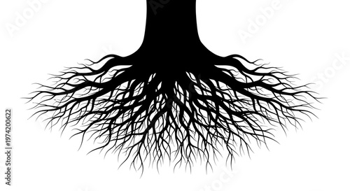 Black silhouette of tree roots underground.