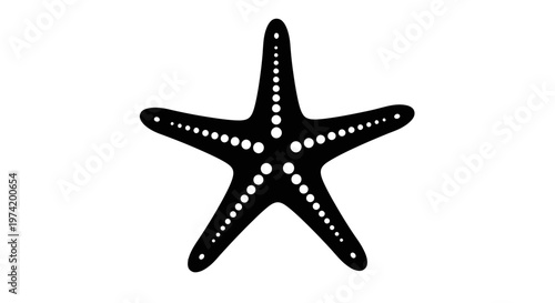 Black starfish with white spots.