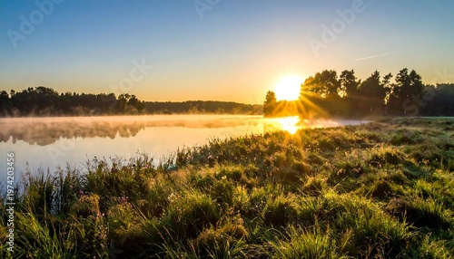 Sunrise bathes a tranquil lake in golden light; fog hovers above water, illuminating the lush, grassy bank with brilliant rays