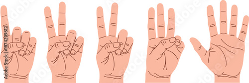 Set Of Five Hands Showing Numbers One Through Five With Fingers gesture counting