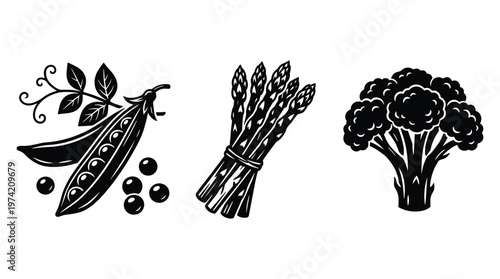 Fresh vegetable collection with green peas asparagus and broccoli head.