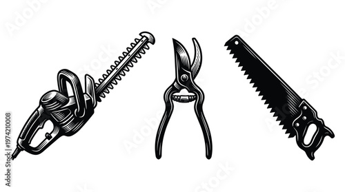 Pruning tools collection with electric trimmer and garden hand tools.