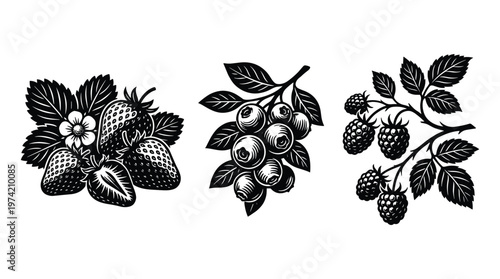 Summer berries collection with strawberries blueberries and berries.