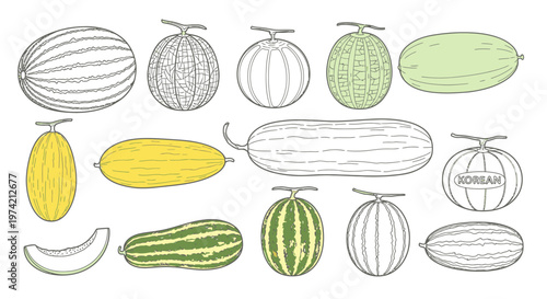 Variety of melons and cucumbers.
