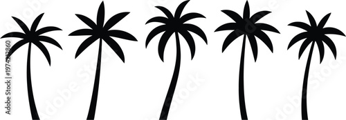 palm trees with curved trunks and fronds arranged horizontally, symbolizing tropical coastal nature design