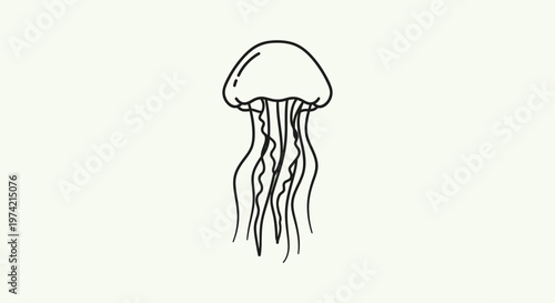 Black and white jellyfish sea creature.