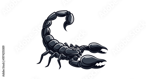 Black scorpion with curved tail stinger.