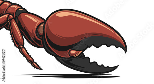 Crayfish Claw Closeup Side View.