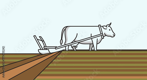 Cow pulling a plow in field.