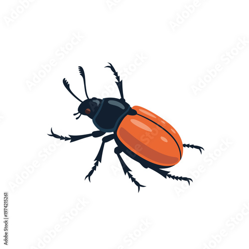 Orange beetle crawling on white background with detailed legs