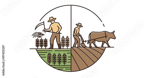 Farmers working with oxen in field.