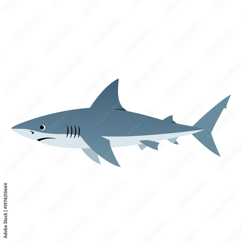 Fototapeta premium Shark swimming laterally isolated illustration on white background