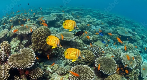 Vibrant Tropical Coral Reef with Masked Butterflyfish and Diverse Marine Life in Clear Blue Ocean