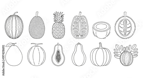 Variety of fruit icons in illustrations.