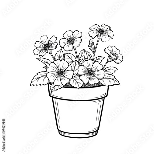 Black and White Sketch of a Potted Flowering Plant