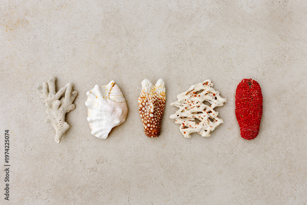 Fototapeta premium Natural Sea Corals and shells at sunlight on beige sandy color background, beach mood, summer holiday relahation concept, beauty nature sea still life, minimal aesthetic lifestyle pattern, top view.