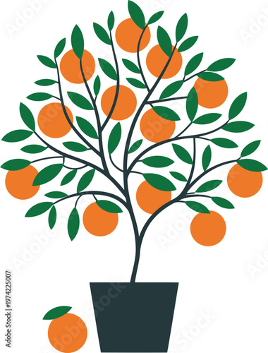 orange tree in a pot