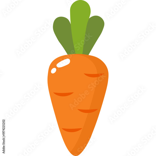 Carrot Vegetable