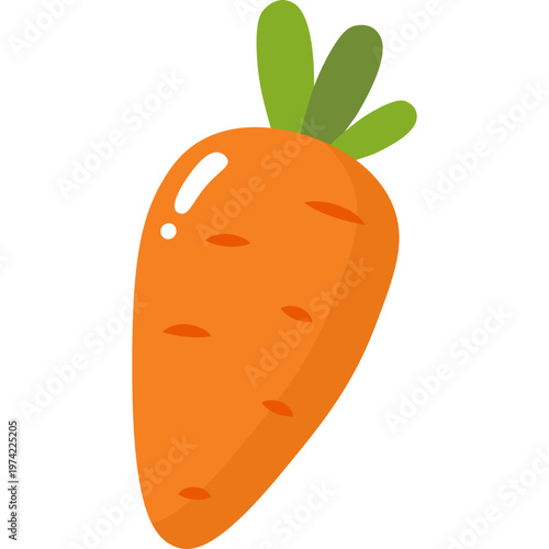Carrot Vegetable