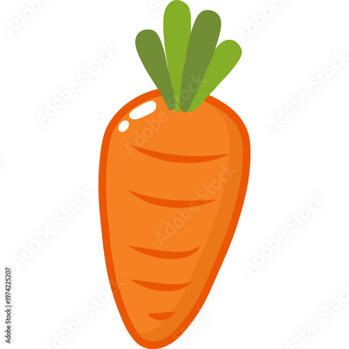 Carrot Vegetable