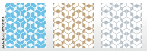 Wallpapers in the style of Baroque.. Set of colored floral ornaments. Seamless vector backgrounds Graphic patterns for fabric, wallpaper, packaging. Ornate Damask flower illustration